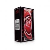 Excitante Ex-Y Soft Love